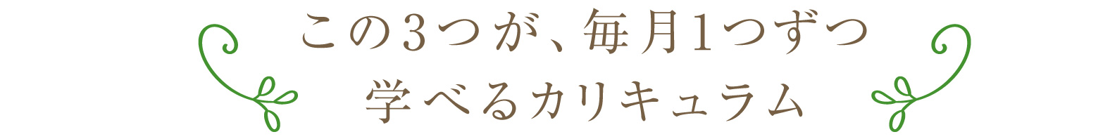 この3つが、毎月1つずつ 学べるカリキュラム